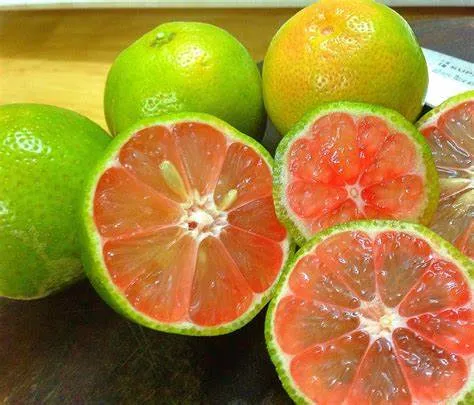 Chanh đào ngâm mật ong - Thần dược trị ho cho bé 8 OIP