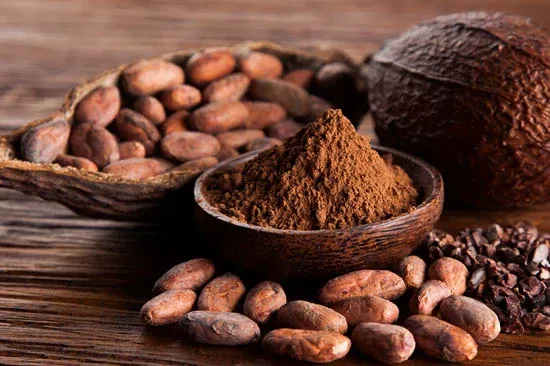 Lợi ích sức khỏe và dinh dưỡng của bột cacao 2 Image 11