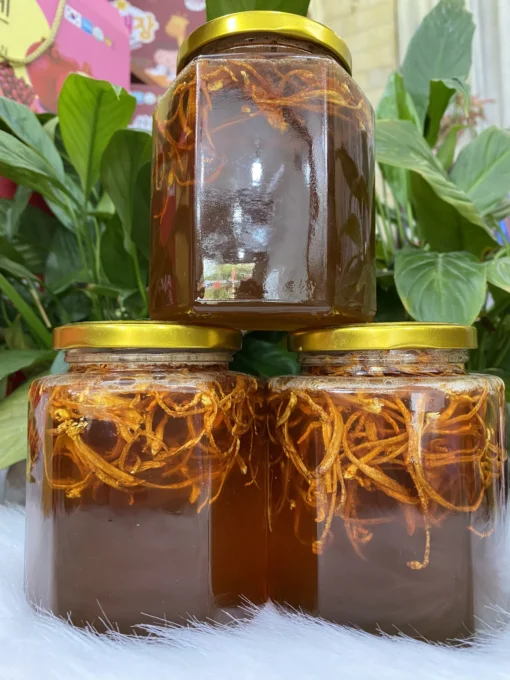 COMBO 3 LÍT ĐÔNG TRÙNG HẠ THẢO NGÂM MẬT ONG RỪNG