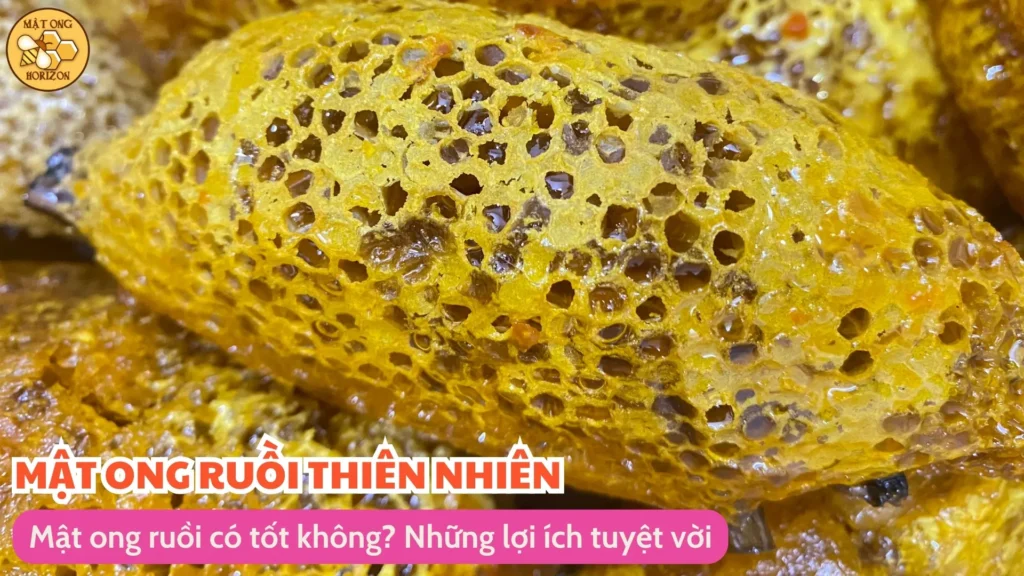 Mật ong ruồi có tốt không? Tác dụng và cách sử dụng hiệu quả 11 Mật ong ruồi có tốt không? Những lợi ích tuyệt vời