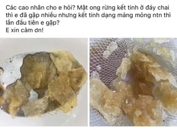 Mật ong nguyên chất kết tinh mảng đường khi để ở nhiệt độ thường là thật hay giả? 18 9e58b53b Fa2e 4de0 B97e 76b0b0f7095a