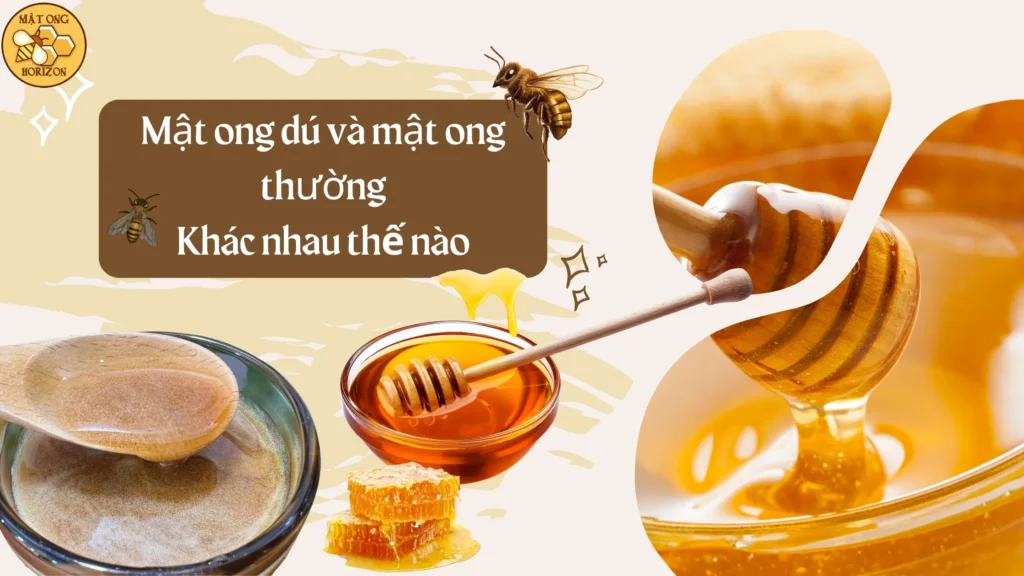 Mật ong dú và mật ong thường: Khác nhau thế nào? 2 Mật ong dú và mật ong thường: Khác nhau thế nào?